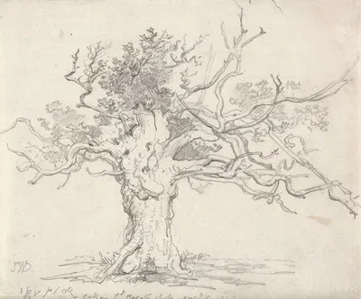 A Stunted Oak by James Ward, 1822 — digital art print download