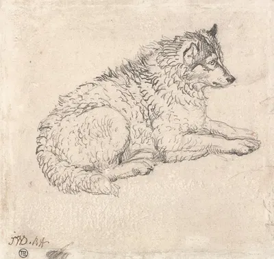 Arctic Dog, Facing Right by James Ward — digital art print download