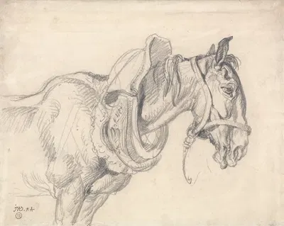 Head and Shoulders of a Cart Horse by James Ward — digital art print download