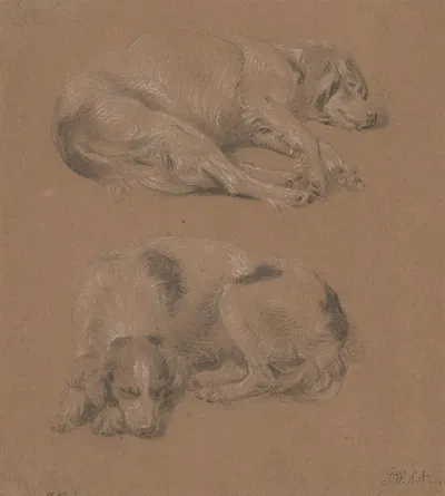 Studies of Dogs lying down by James Ward — digital art print download