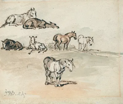 Studies of Horses by James Ward — digital art print download