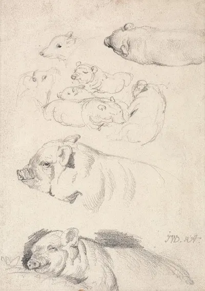 Studies of Pigs by James Ward — digital art print download