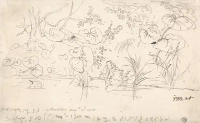 Studies of Plants, August 2, 1815 by James Ward, 1815 — digital art print download