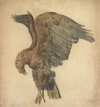 Study of a Plunging Eagle by James Ward — digital art print download