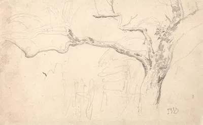 Tree Study by James Ward — digital art print download