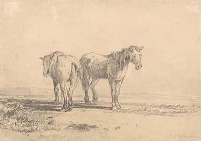 Two Old Horses Standing in a Field by Джон Селл Котман — digital art print download