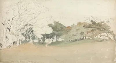 Trees near Hastings by Джошуа Кристалл, 1807 — digital art print download