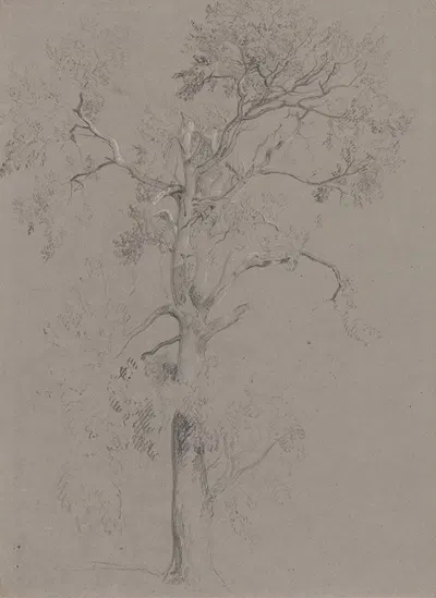 Ash Tree in Ashstead Park by Peter DeWint — digital art print download