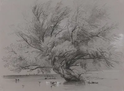 Pond with Willow Tree and Ducks by Peter DeWint — digital art print download