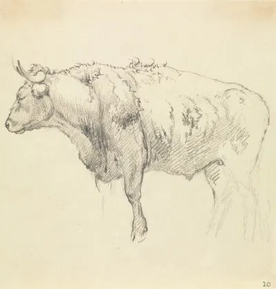 A Bull by Роберт Хиллс — digital art print download
