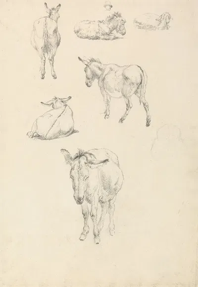 A Donkey, Six Studies; Lying, Walking, Standing, Sitting by Роберт Хиллс — digital art print download