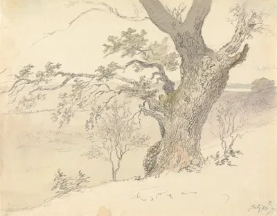 An Oak in Englefield Park by Роберт Хиллс — digital art print download
