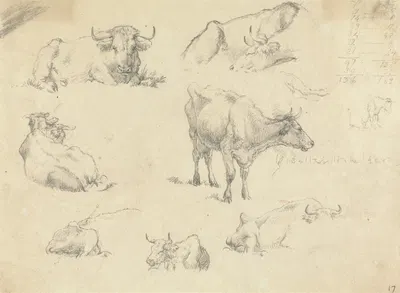 Cows From Various Angles by Роберт Хиллс — digital art print download