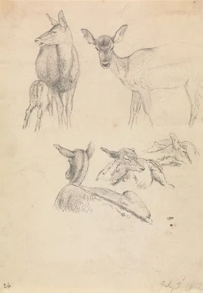 Deer and their Young by Роберт Хиллс, 1812 — digital art print download