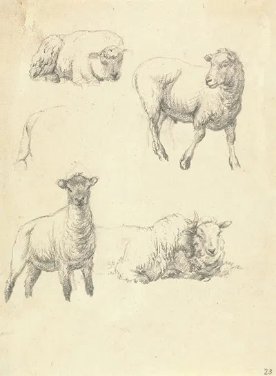 Sheep by Роберт Хиллс — digital art print download