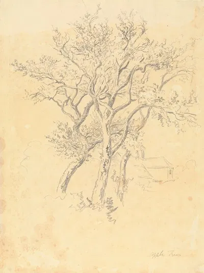 Study of Apple Trees by Роберт Хиллс — digital art print download
