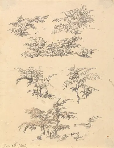 Study of Bracken by Роберт Хиллс, 1802 — digital art print download