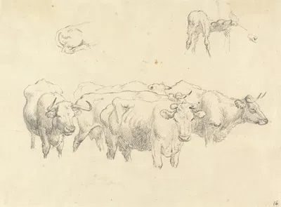 Study of Cows with Calf by Роберт Хиллс — digital art print download