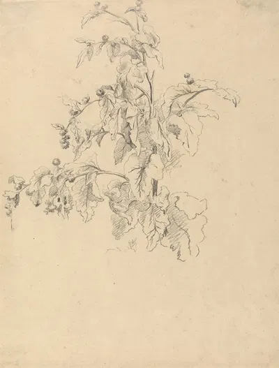 Study of Foliage by Роберт Хиллс — digital art print download