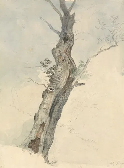 Tree Study by Роберт Хиллс — digital art print download
