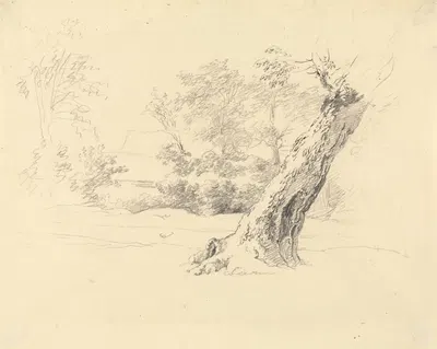 Tree Study by Роберт Хиллс — digital art print download