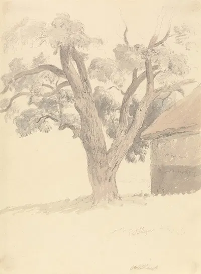 Walnut Tree by Роберт Хиллс — digital art print download