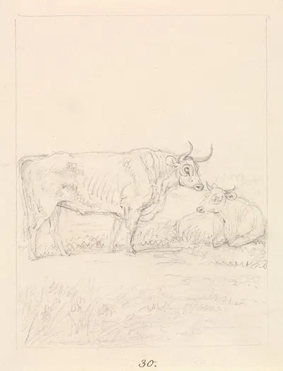 Bull and Cow by Samuel Howitt — digital art print download