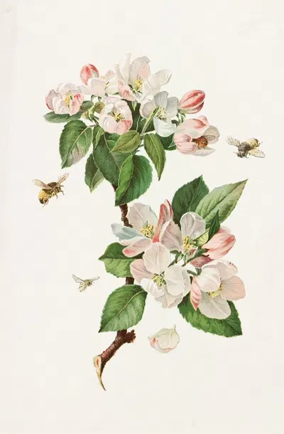 Apple Blossoms and Bees by Alois Lunzer, 1885 — digital art print download