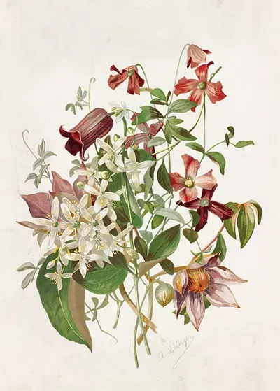 Clematis by Alois Lunzer, 1885 — digital art print download