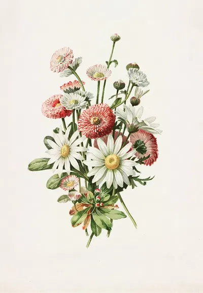 Daisies by Alois Lunzer, 1885 — digital art print download