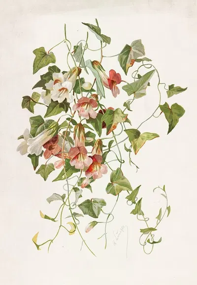Maurandia by Alois Lunzer, 1885 — digital art print download