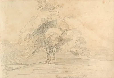Study from trees near Folly by William Brockedon — digital art print download