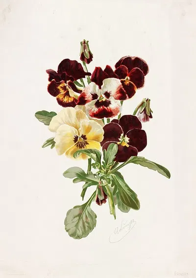 Pansies by Alois Lunzer, 1885 — digital art print download