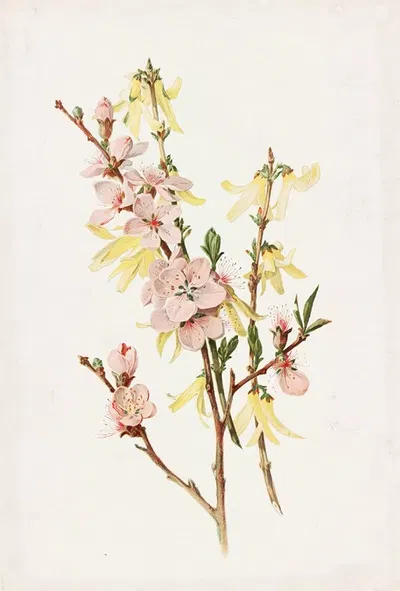 Peach Blossoms and Forsythia by Alois Lunzer, 1885 — digital art print download