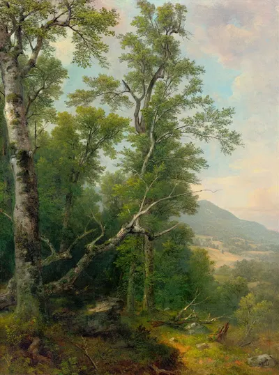 Study of Trees by Asher Brown Durand, 1850 — digital art print download