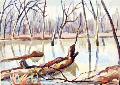 Рок-Крик, зима by Эдгар Най — digital art print download