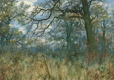 Деревья и подлесок by Уильям Фрейзер Гардн, 1885 — digital art print download