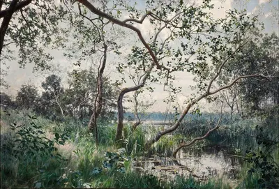 Водная растительность. Мотив из Эстергётланда by Йохан Крутен, 1885 — digital art print download