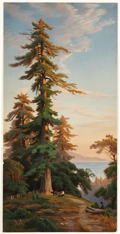 Деревья секвойи, горы Санта-Крус, Калифорния by Джон Росс Ки, 1874 — digital art print download