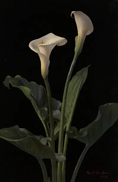 Calla Lilies by Джордж Кокран Ламбдин, 1878 — digital art print download