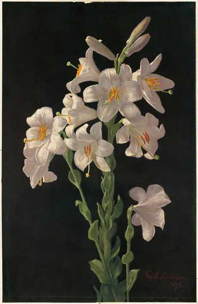 Easter Lily by Джордж Кокран Ламбдин — digital art print download
