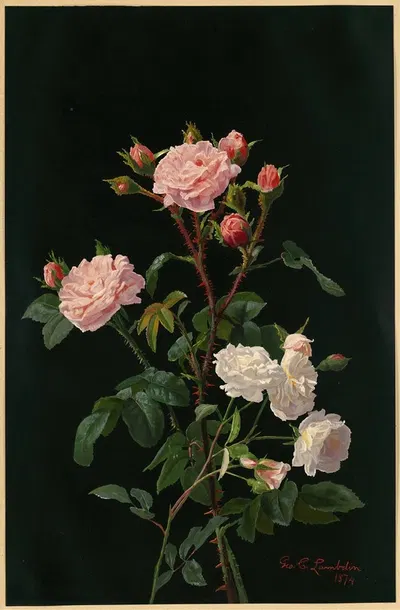 Pink and White Roses by Джордж Кокран Ламбдин, 1878 — digital art print download
