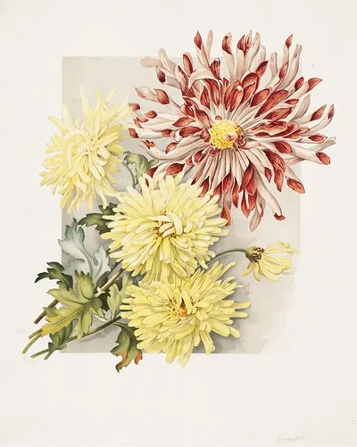 Daisies by James Callowhill — digital art print download