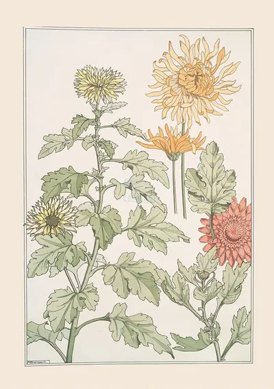 Chrysanthème by Морис Пиллар Вернёй, 1896 — digital art print download