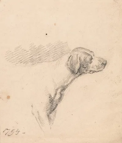 Study of a Hound; Head and Shoulders, Facing Right by George Morland, 1794 — digital art print download
