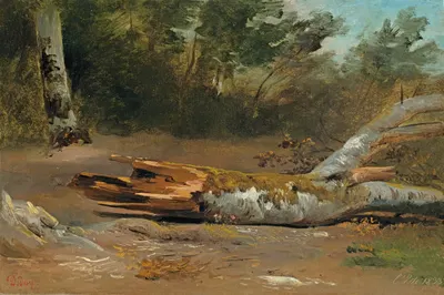 Forest with Tree Trunk (L'jsle) by François Diday, 1833 — digital art print download