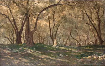 Jeune Fille Sous Les Oliviers – Menton by Henry Brokman, 1897 — digital art print download