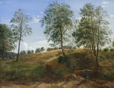 Весенний источник в Нэсби на Фюне by Данкварт Дрейер, 1844 – 1845 — digital art print download