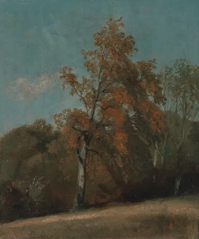 Study of an Ash Tree by John Constable, 1801-1803 — digital art print download