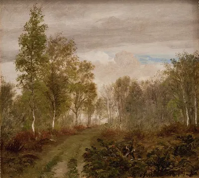 Берёзовые деревья на Лёсё после дождя by П. К. Сковгорд, 1848 - 1849 — digital art print download